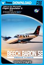 Private Flights - Beech Baron 58