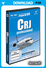 CRJ Professional