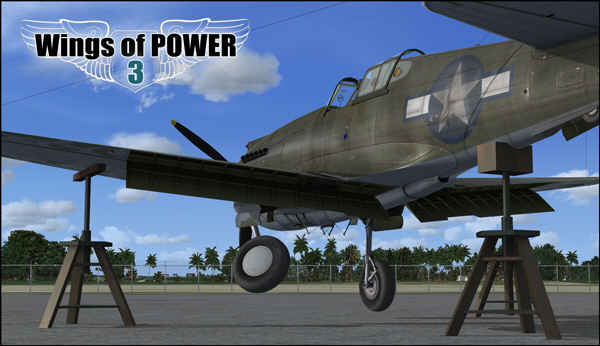 Accu-Sim for the Wings of Power 3 P-40