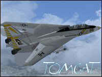 IRIS - Airforce Series - F-14A [FSX]