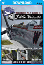 Mustang P-51D Little Friends