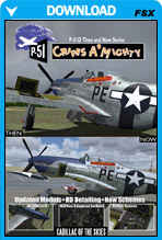 Mustang P-51D Then And Now Series - Cripes A Mighty