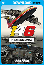 146 Professional (MSFS)
