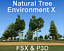 Natural Tree Environment X